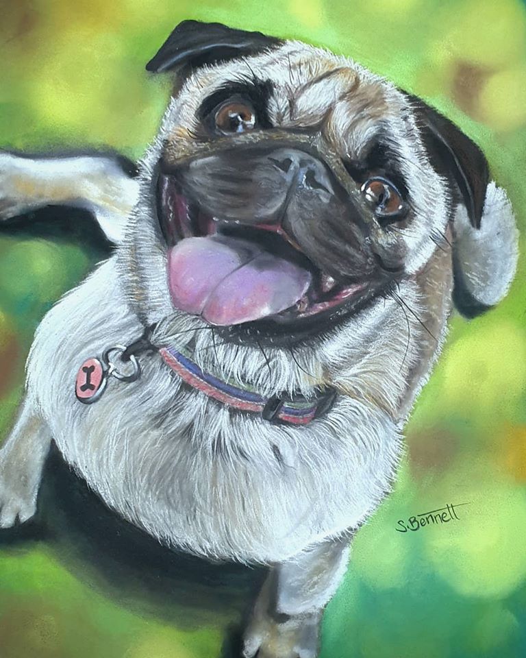 Pug Dog – Lola (commission)