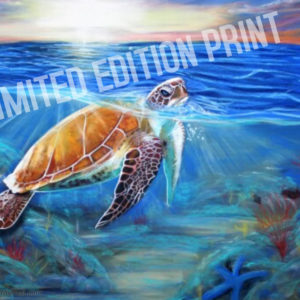 Tranquility Rising Sea Turtle Drawing