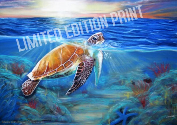 Tranquility Rising Sea Turtle Drawing